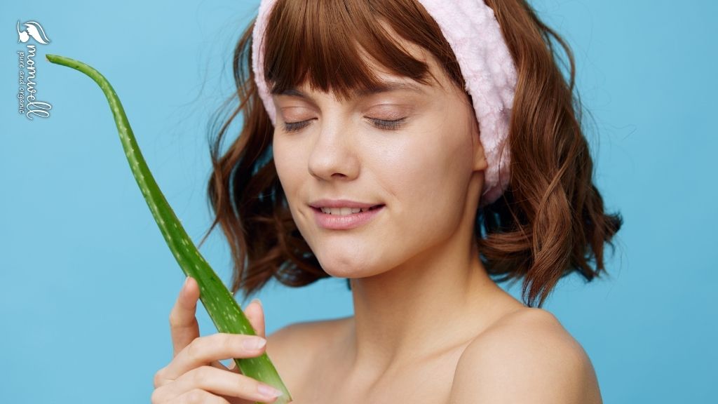 Aloe Vera Nedir? Cilt Bakımında Neden Kullanılır?