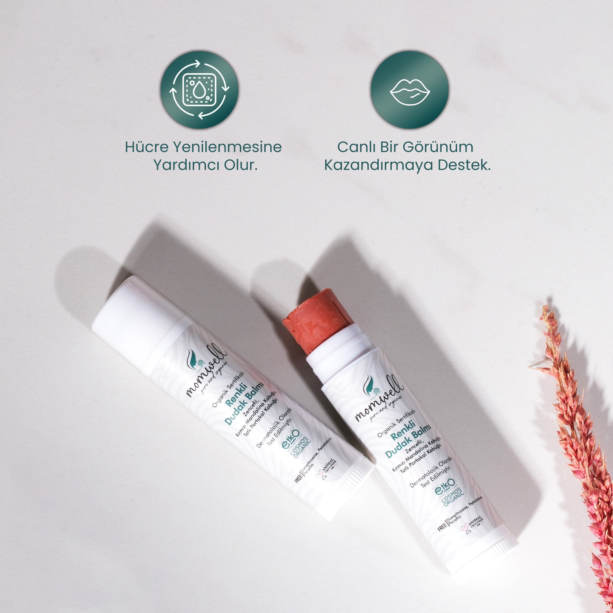 Momwell Nemlendirici Renkli Dudak Balmı 5 ml
