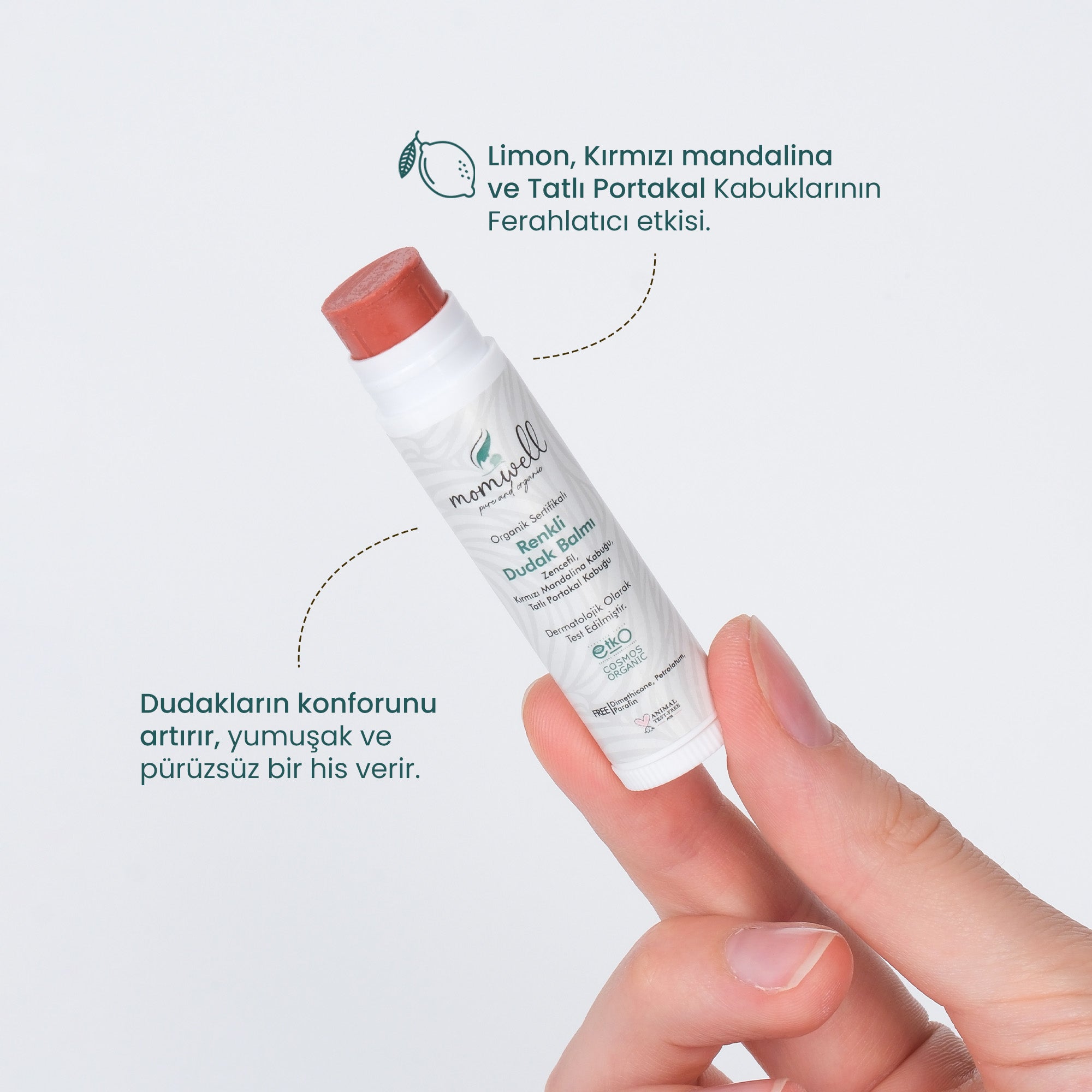 Momwell Nemlendirici Renkli Dudak Balmı 5 ml